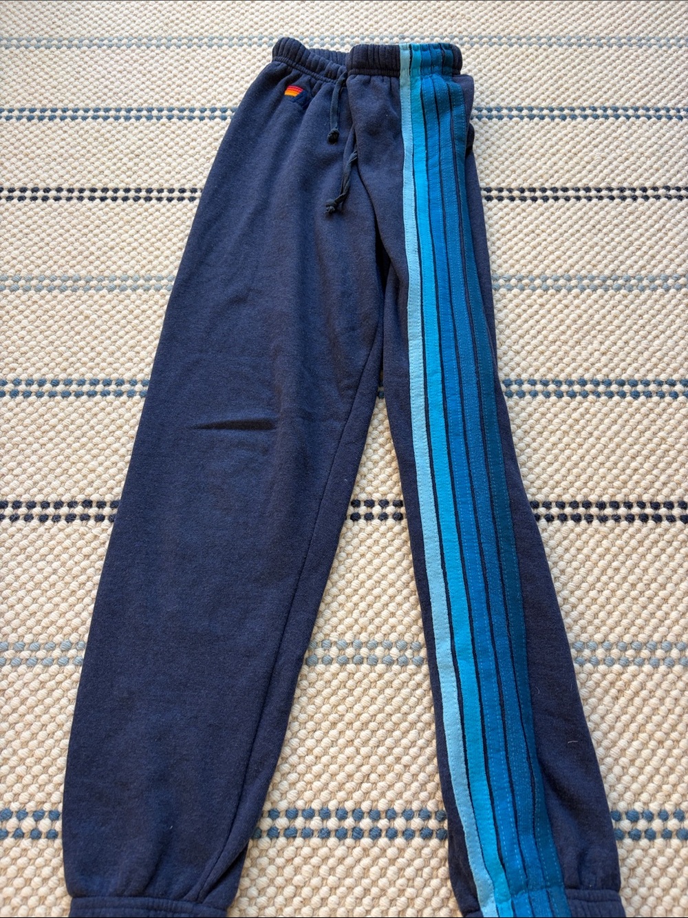Aviator Nation Navy sweat pants size XS